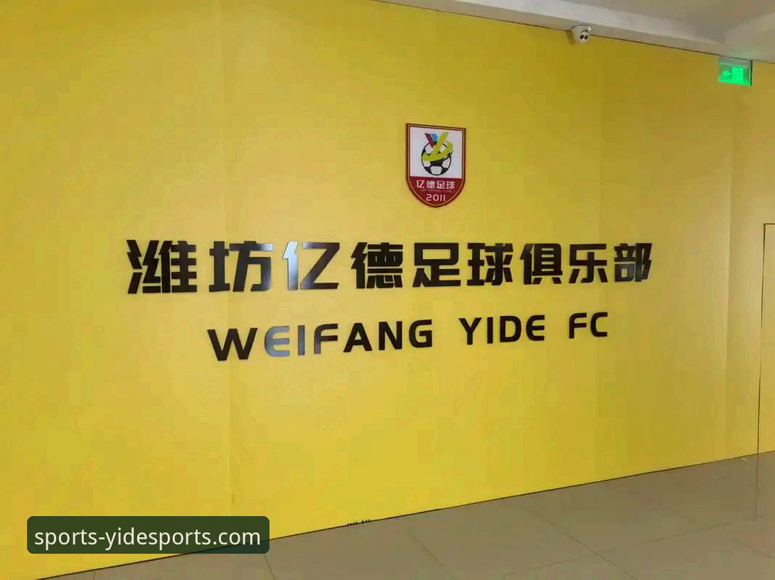 亿德官方网站入口 vs 亿德体育app下载：两种使用方式全面对比